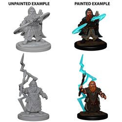 Pathfinder Deep Cuts: Male Dwarf Sorcerer - Unpainted | Anubis Games and Hobby