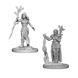 Nolzur's Marvelous Miniatures: Human Female Druid - Unpainted | Anubis Games and Hobby