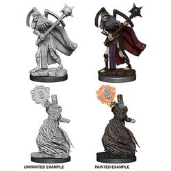 Pathfinder Deep Cuts: Liches - Unpainted | Anubis Games and Hobby