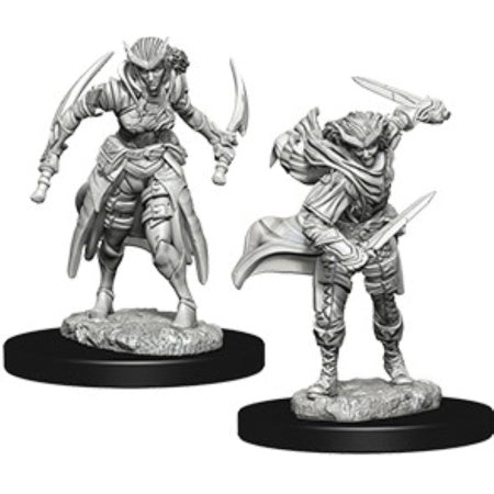 Nolzur's Marvelous Miniatures: Tiefling Female Rouge - Unpainted | Anubis Games and Hobby