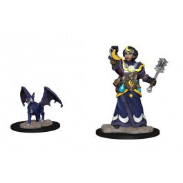 Wardlings Painted Girl Cleric & Winged Cat | Anubis Games and Hobby