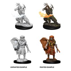 Nolzur's Marvelous Miniatures: Male Human Druid - Unpainted | Anubis Games and Hobby