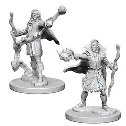 Pathfinder Deep Cuts: Male Elf Sorcerer - Unpainted | Anubis Games and Hobby