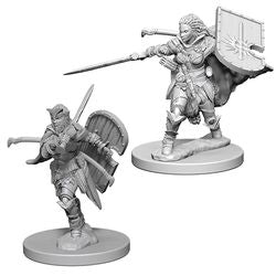 Pathfinder Deep Cuts: Human Female Paladin - Unpainted | Anubis Games and Hobby