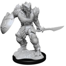 Dragonborn Fighter Male Miniatures | Anubis Games and Hobby