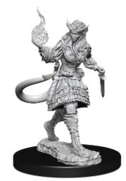 Tiefling Sorcerer Female Miniatures | Anubis Games and Hobby