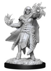 Hobgoblin Male Fighter Female Wizard Miniatures | Anubis Games and Hobby