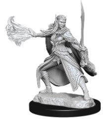 Winter & Spring Eladrin Miniatures | Anubis Games and Hobby