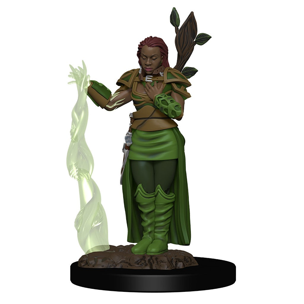 Human Female Druid: Premium | Anubis Games and Hobby