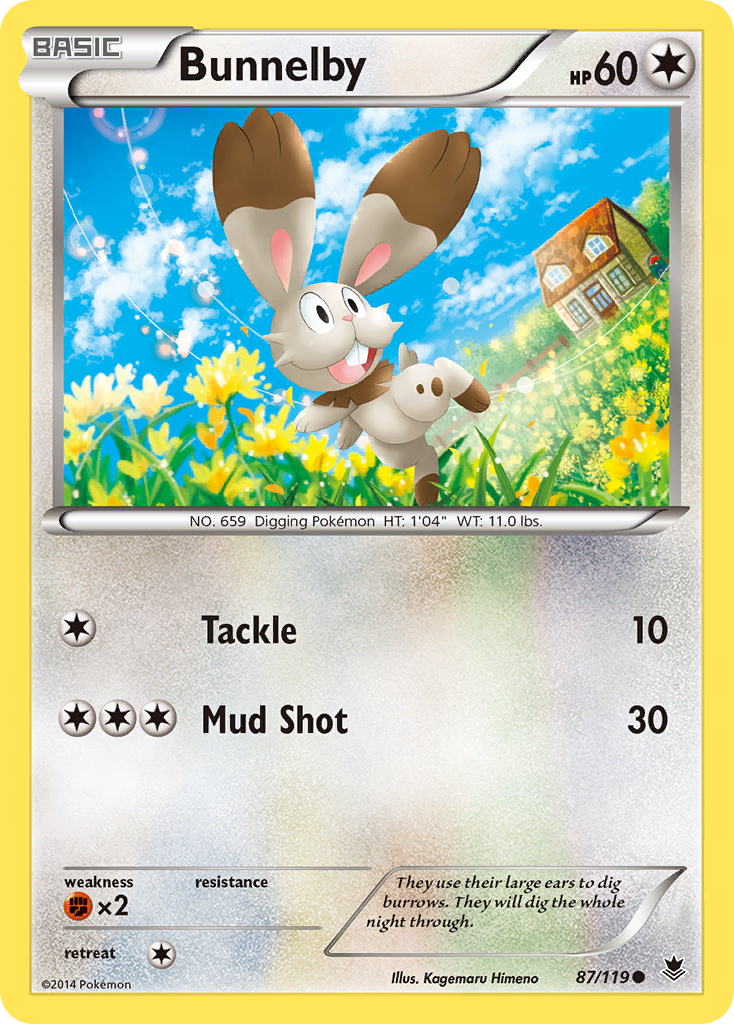 Bunnelby (87/119) [XY: Phantom Forces] | Anubis Games and Hobby