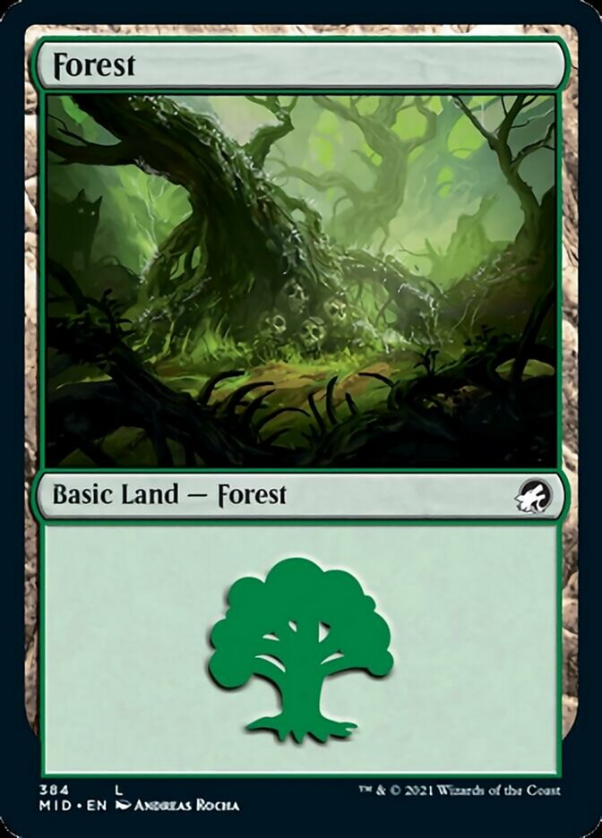 Forest (384) [Innistrad: Midnight Hunt] | Anubis Games and Hobby
