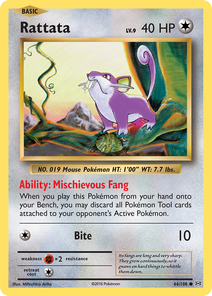 Rattata (66/108) [XY: Evolutions] | Anubis Games and Hobby