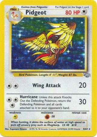 Pidgeot (8/64) [Jungle Unlimited] | Anubis Games and Hobby