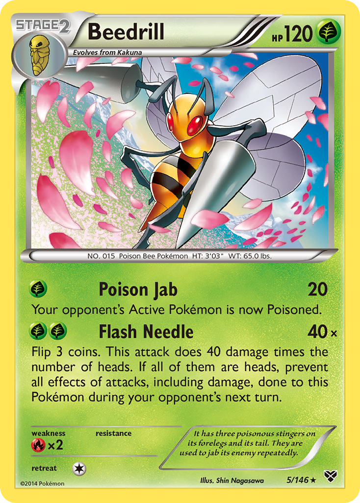 Beedrill (5/146) [XY: Base Set] | Anubis Games and Hobby