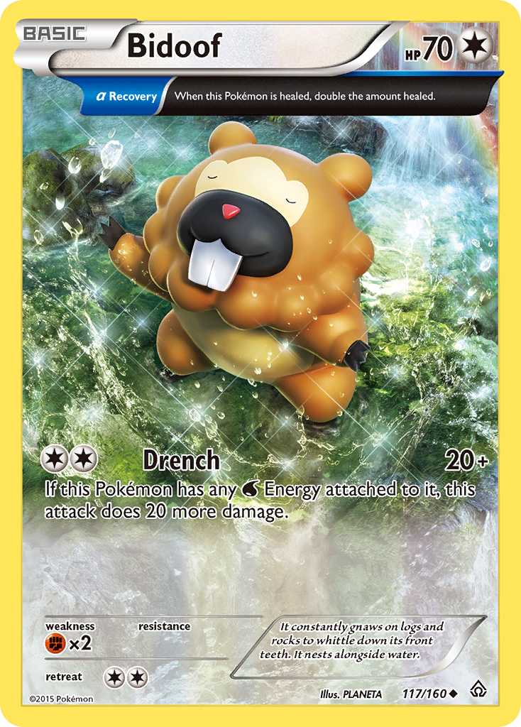 Bidoof (117/160) [XY: Primal Clash] | Anubis Games and Hobby