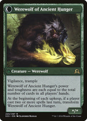 Sage of Ancient Lore // Werewolf of Ancient Hunger [Shadows over Innistrad] | Anubis Games and Hobby