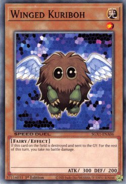 Winged Kuriboh [SGX1-ENA06] Common | Anubis Games and Hobby