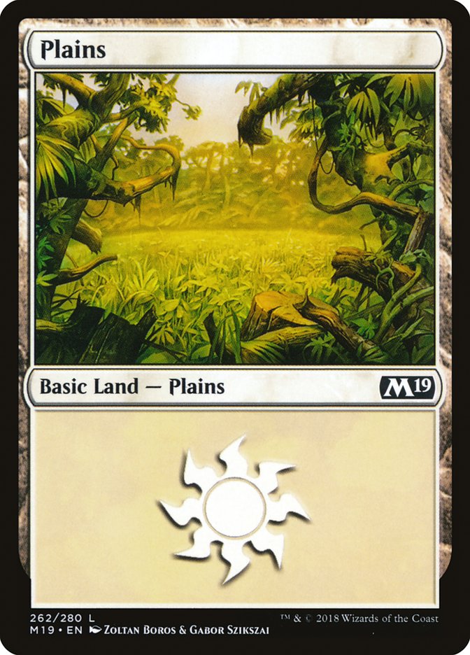 Plains (262) [Core Set 2019] | Anubis Games and Hobby