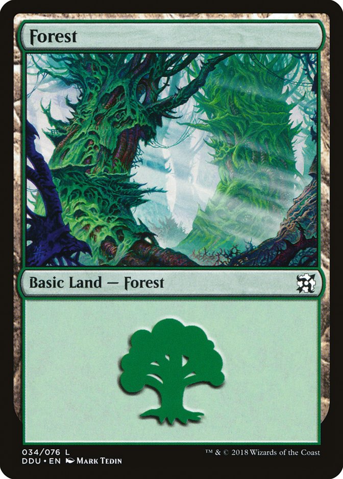 Forest (34) [Duel Decks: Elves vs. Inventors] | Anubis Games and Hobby