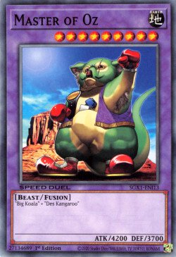 Master of Oz [SGX1-ENI13] Common | Anubis Games and Hobby