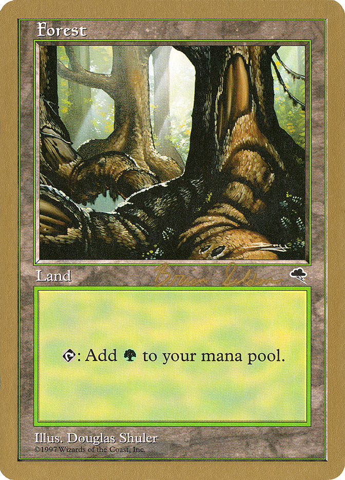 Forest (bs348) (Brian Selden) [World Championship Decks 1998] | Anubis Games and Hobby