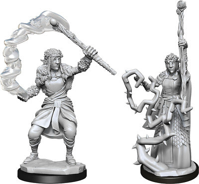Firbolg Druid | Anubis Games and Hobby