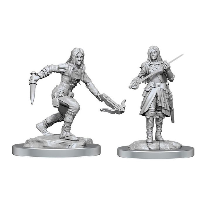 Half Elf Rogues Female | Anubis Games and Hobby