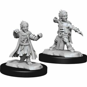Halfling Monk | Anubis Games and Hobby