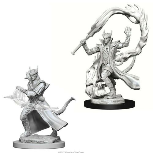 Miniatures: Tiefling Sorcerer Male - Unpainted | Anubis Games and Hobby