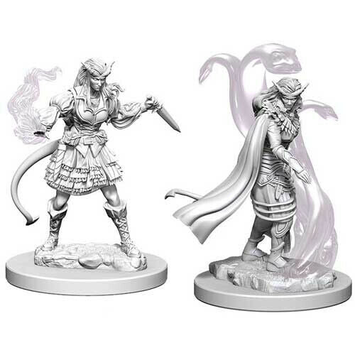 Miniatures: Tiefling Sorcerer Female - Unpainted | Anubis Games and Hobby