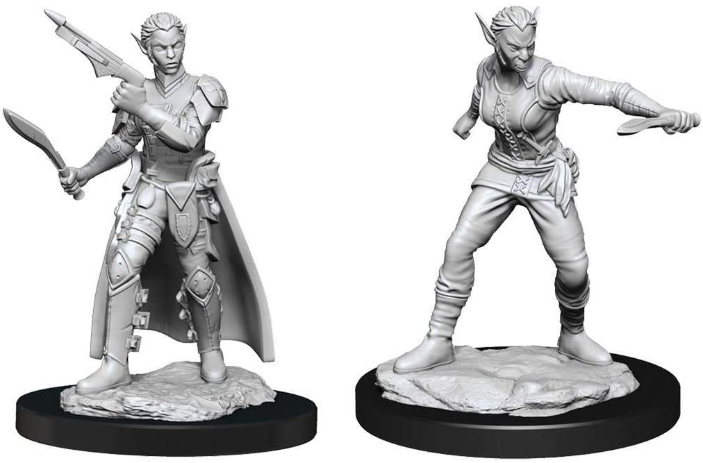 Shifter Rogue | Anubis Games and Hobby
