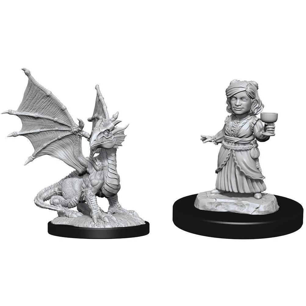 Silver Dragon Wyrmling & Halfing Dragon Friend | Anubis Games and Hobby