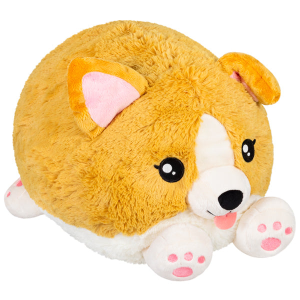 Baby Corgi | Anubis Games and Hobby