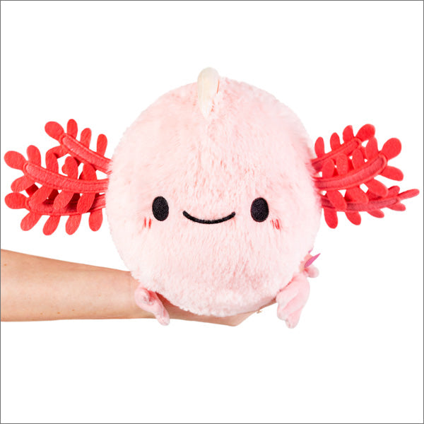 Axolotl - Mini | Anubis Games and Hobby