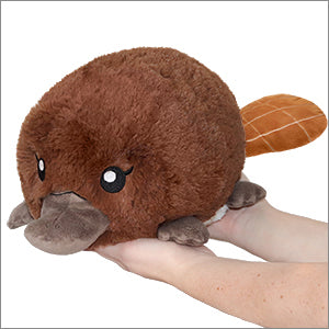 Baby Platypus - Mini | Anubis Games and Hobby
