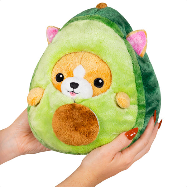 Undercover Corgi - Avocado | Anubis Games and Hobby