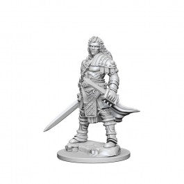 Miniatures: Human Male Fighter - Unpainted | Anubis Games and Hobby