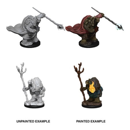 Tortle Adventures | Anubis Games and Hobby