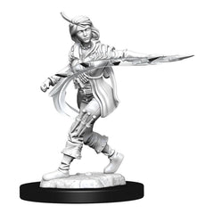 Human Female Rogue | Anubis Games and Hobby