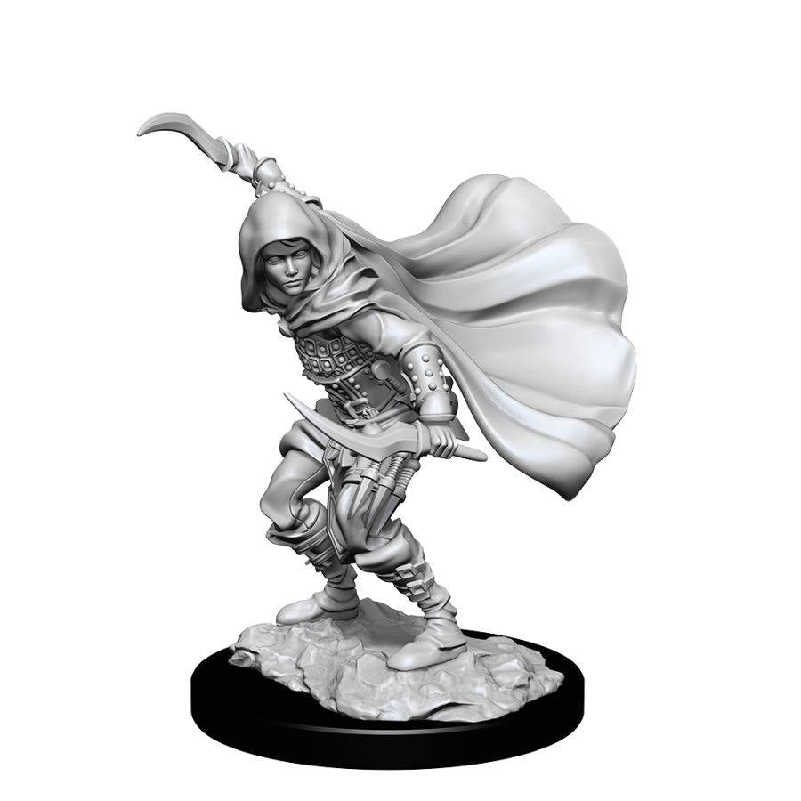 Human Female Rogue | Anubis Games and Hobby